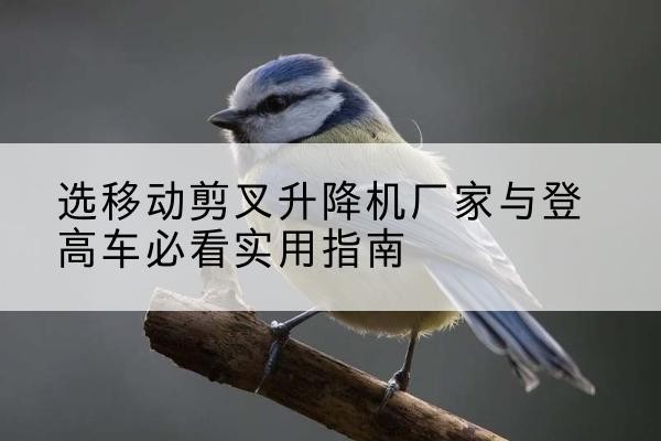 藁城电动升降机厂家-选移动剪叉升降机厂家与登高车必看实用指南