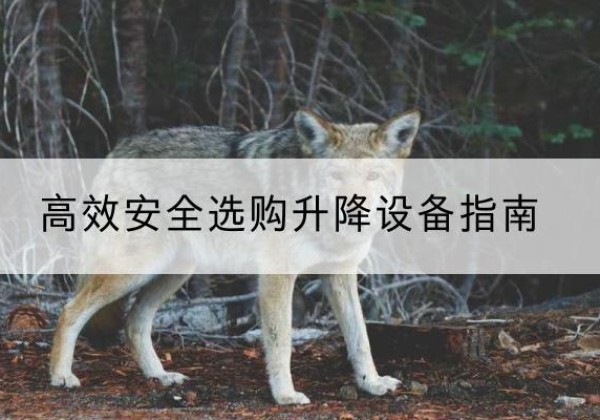 藁城升降货梯厂家推荐-*安全选购升降设备指南
